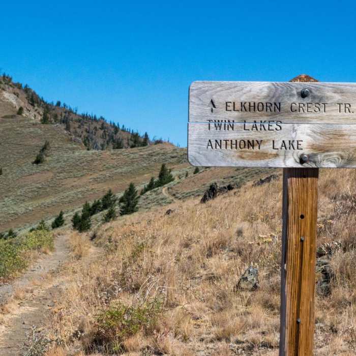 Near Elkhorn Crest Trail: Marble Pass to Anthony Lake