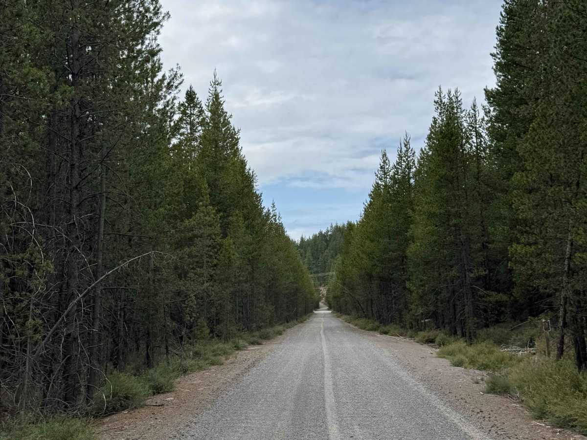 Corral Springs Road - FS 9774 photo 4