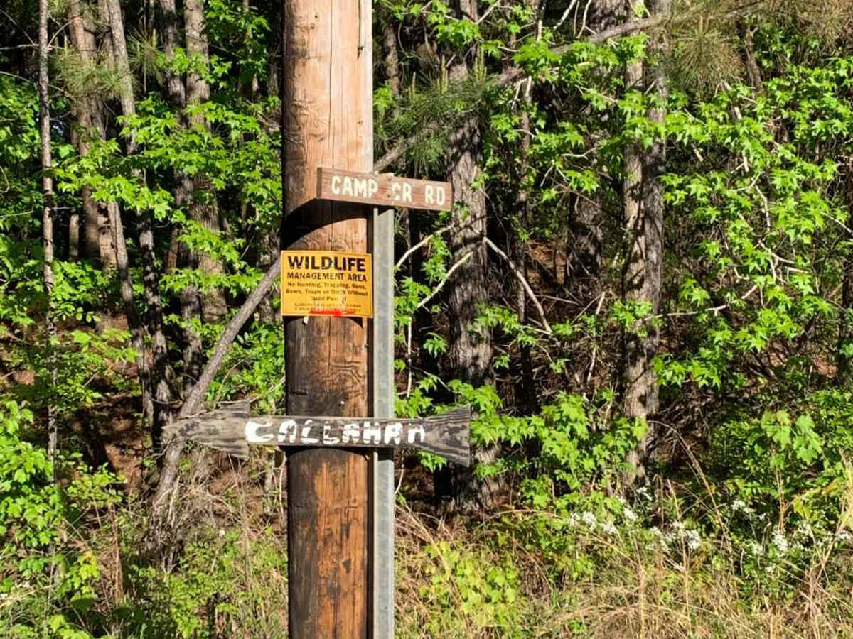 Camp Creek photo 2