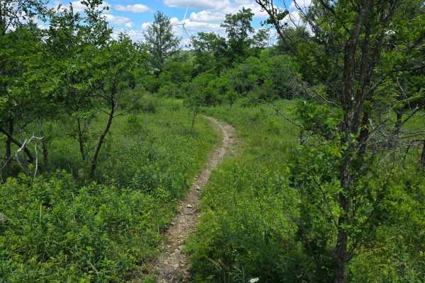 Single Track NN