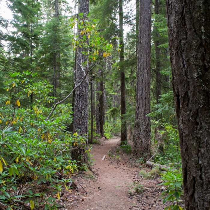 Near Warm Springs Falls