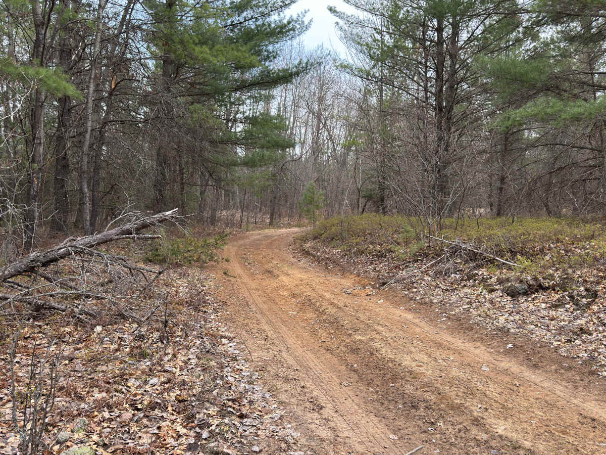 Wandering Trail photo 4