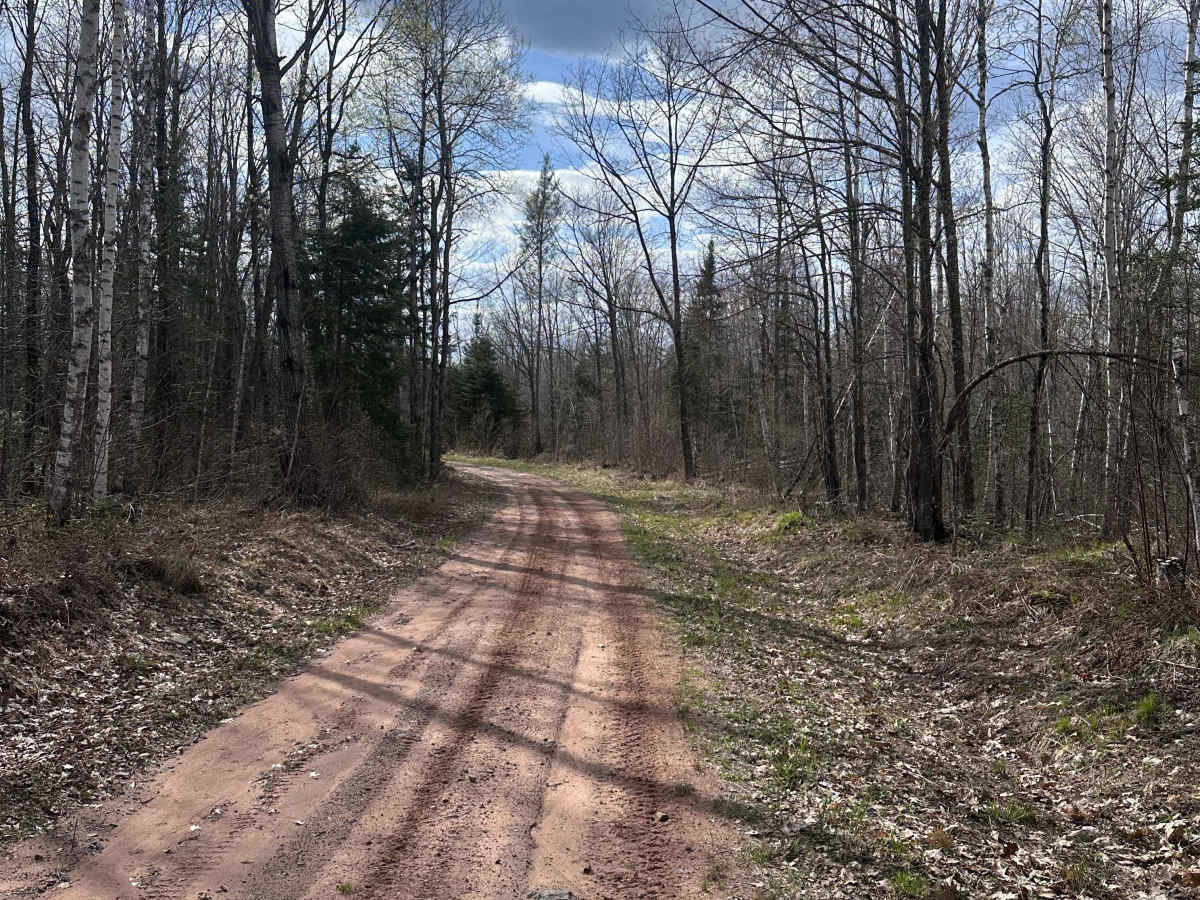 Grouse Forest Road photo 2