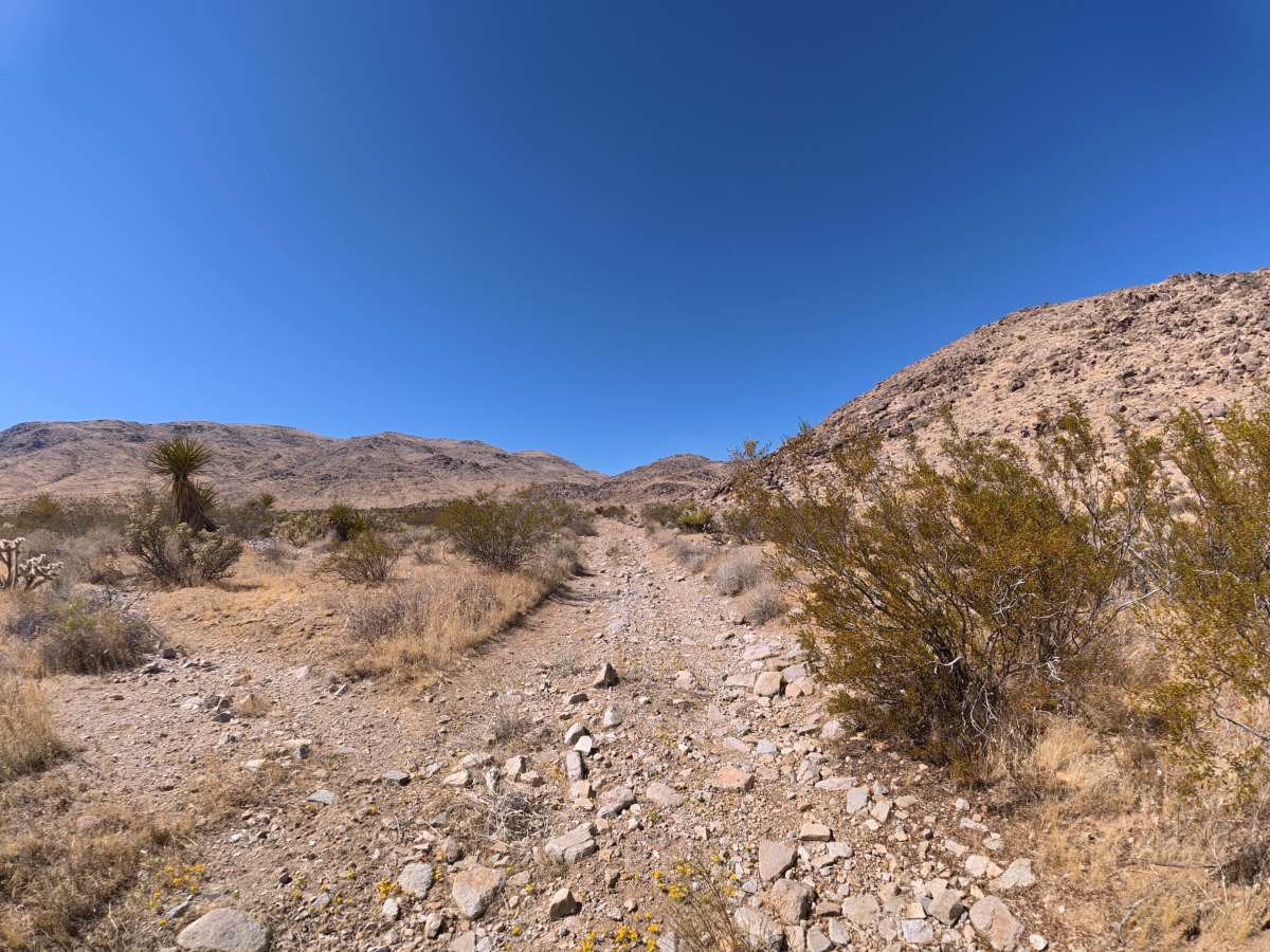 BLM SV2674 trail photo