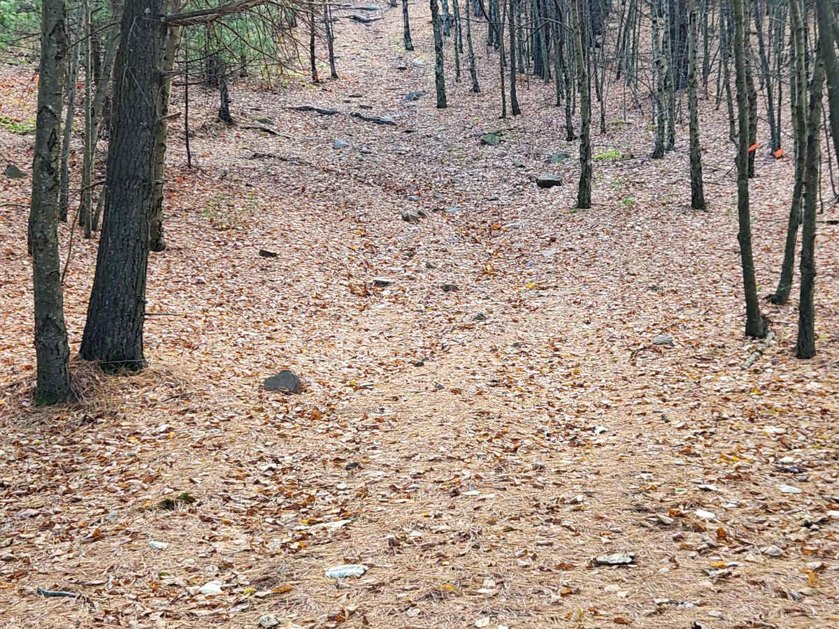 OHV 4 - Rock Run Recreation Area photo 3