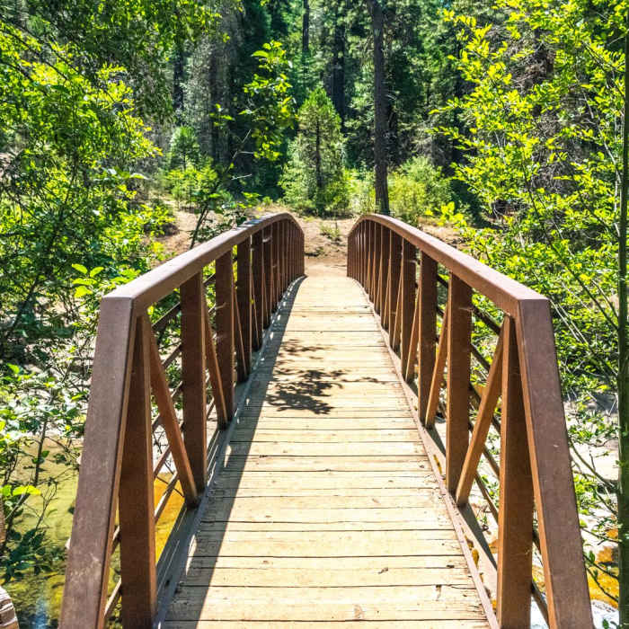 Near South Grove Trail