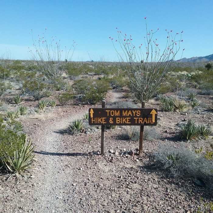 Beginning of trail Near Worm