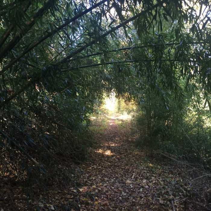 Near Mason Dixon Trail: Lock 12 Shuttle