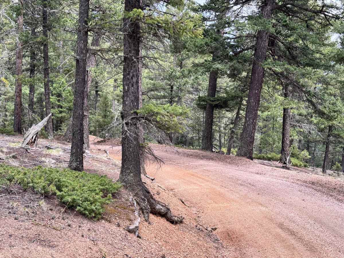 County Line Rd (FS324B) photo 4