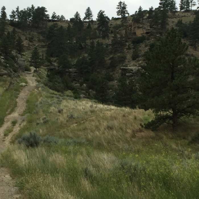 The big climb! Near Phipps Park