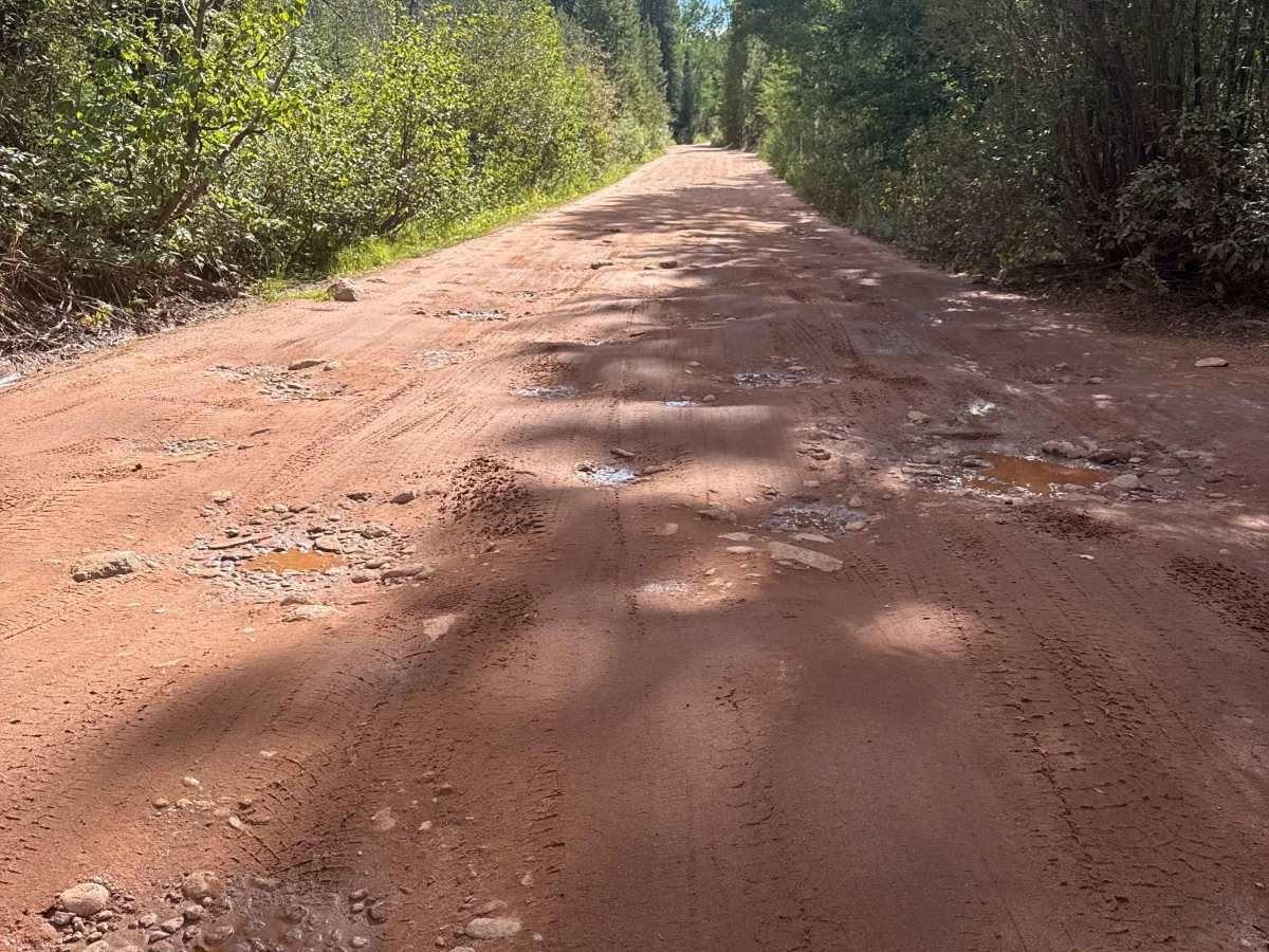 South Fork Piney - FS 701 trail photo