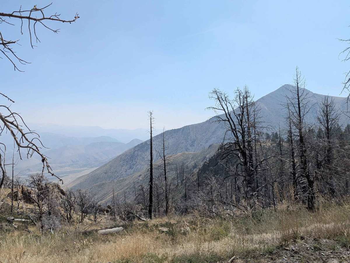 Napoleon Canyon Road - FS 32092 photo 5