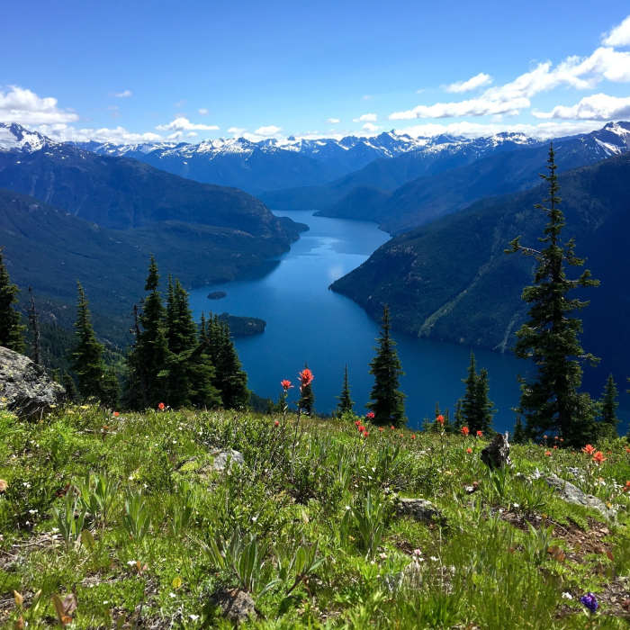 Near Desolation Peak Trail