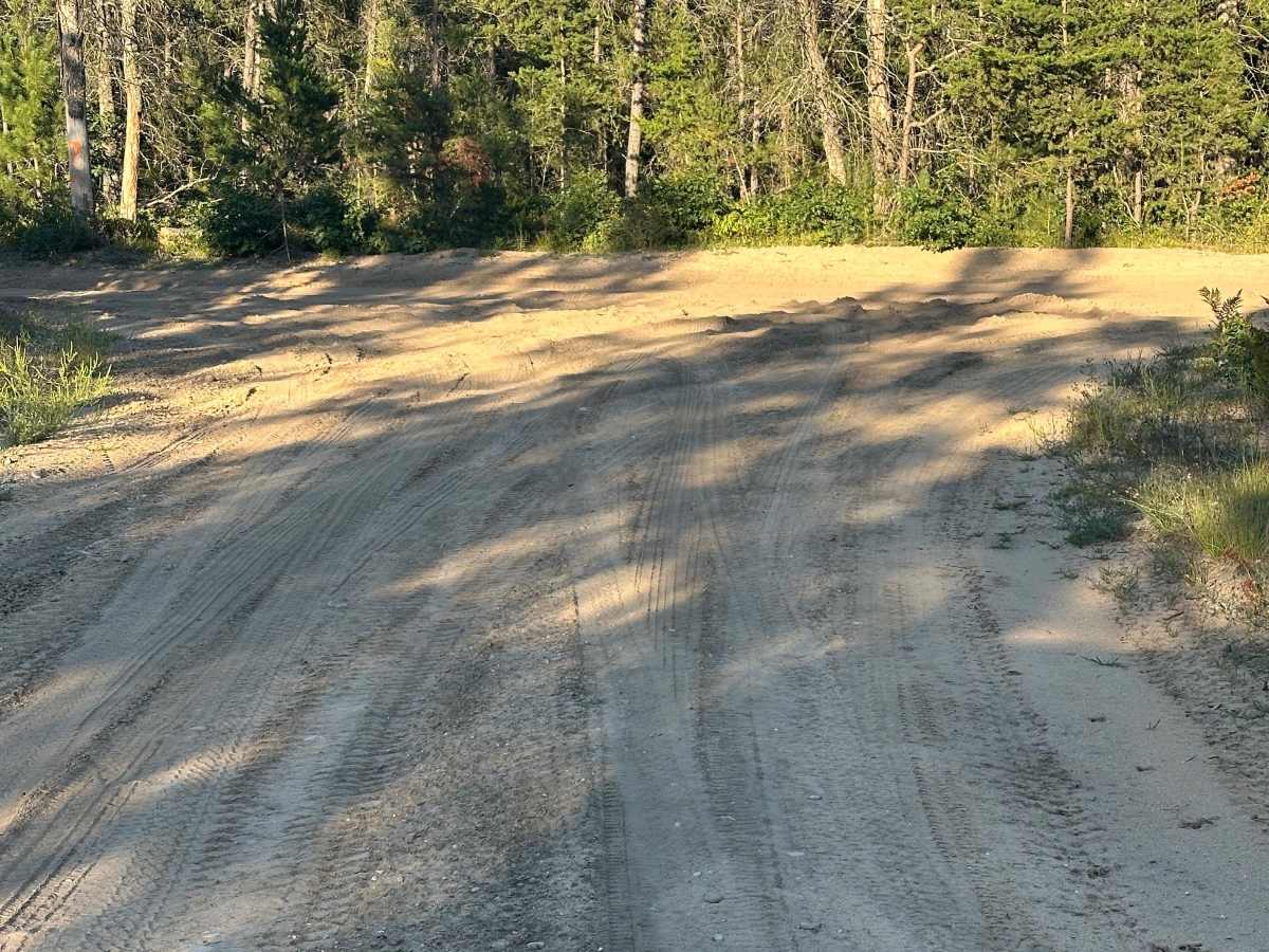 Dorr Road trail photo