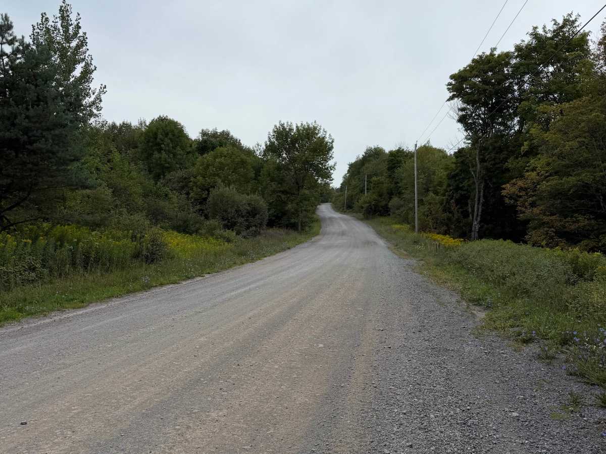 Carpenter Road trail photo