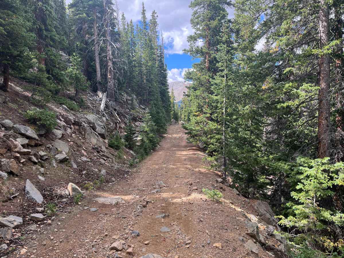 Pains Mountain Road photo 4