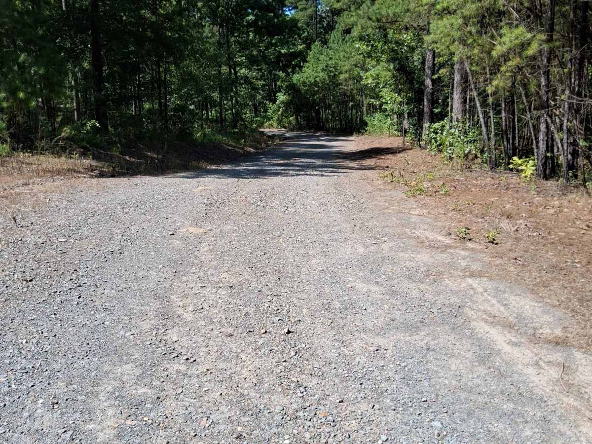 Birch Road trail photo
