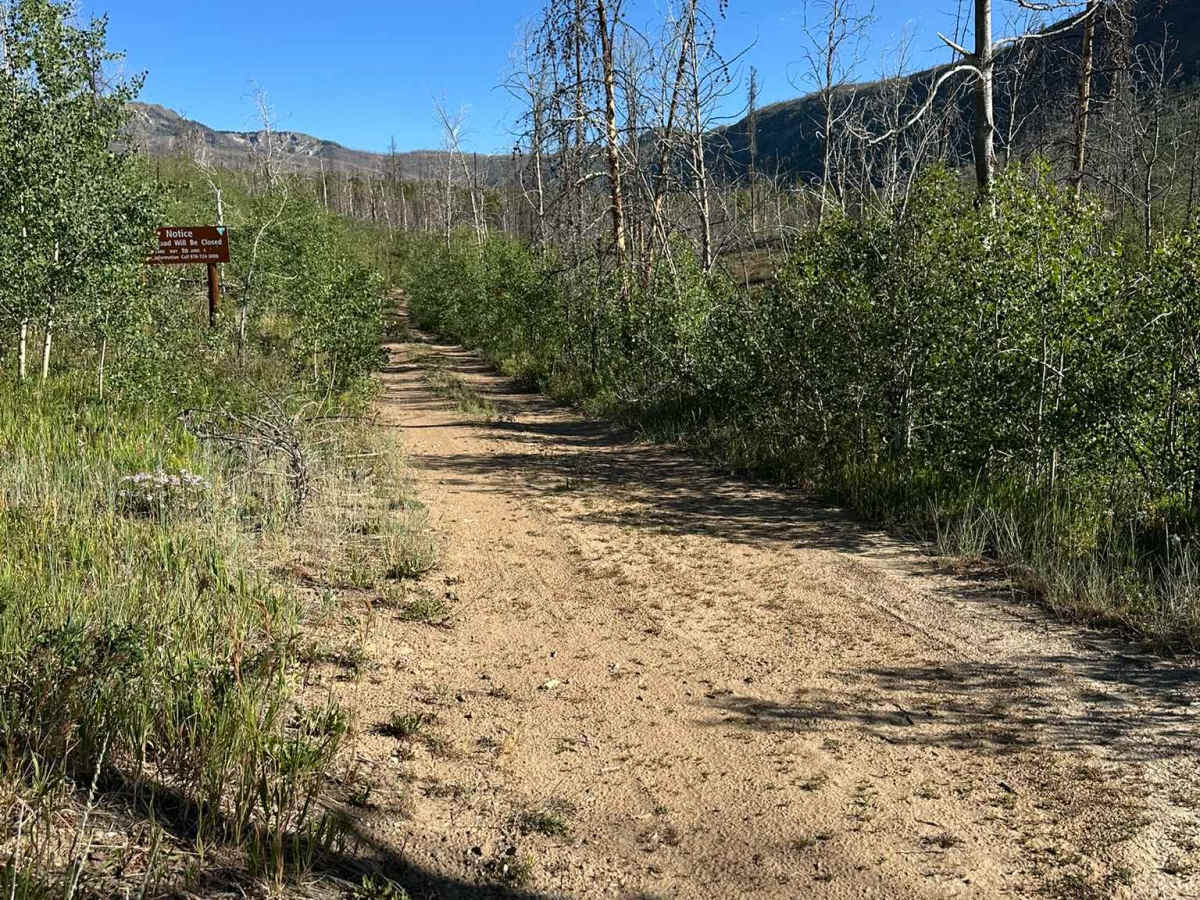 Kinney Creek Road photo 2