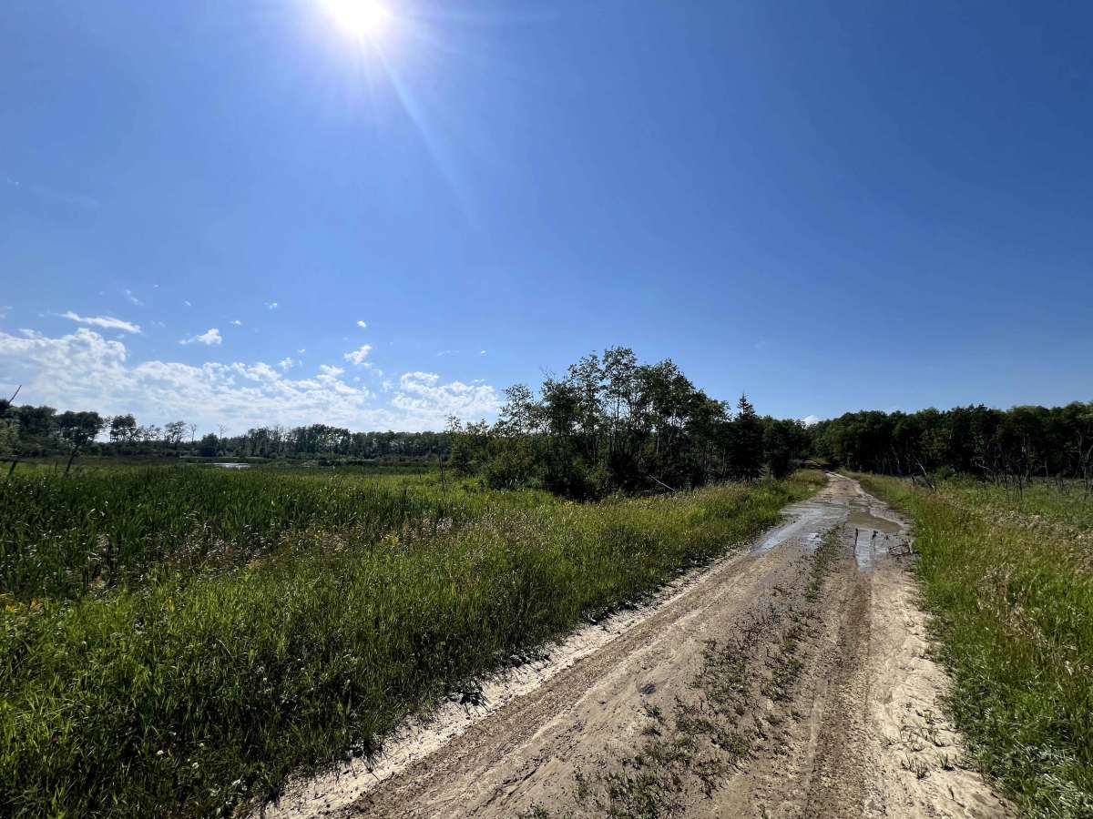 Centre Road - Moose Mountain Provincial Park photo 4