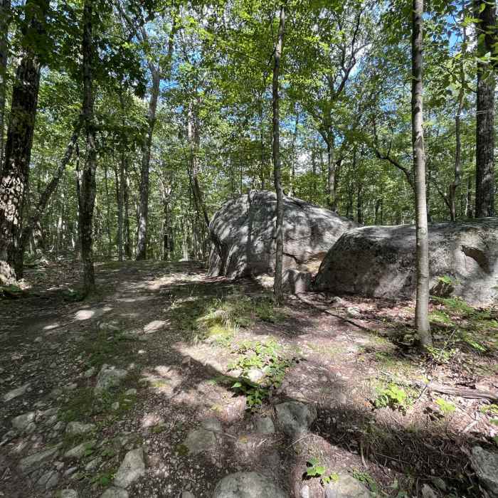 Near Pebble Trail Loop Near Pebble Trail Loop