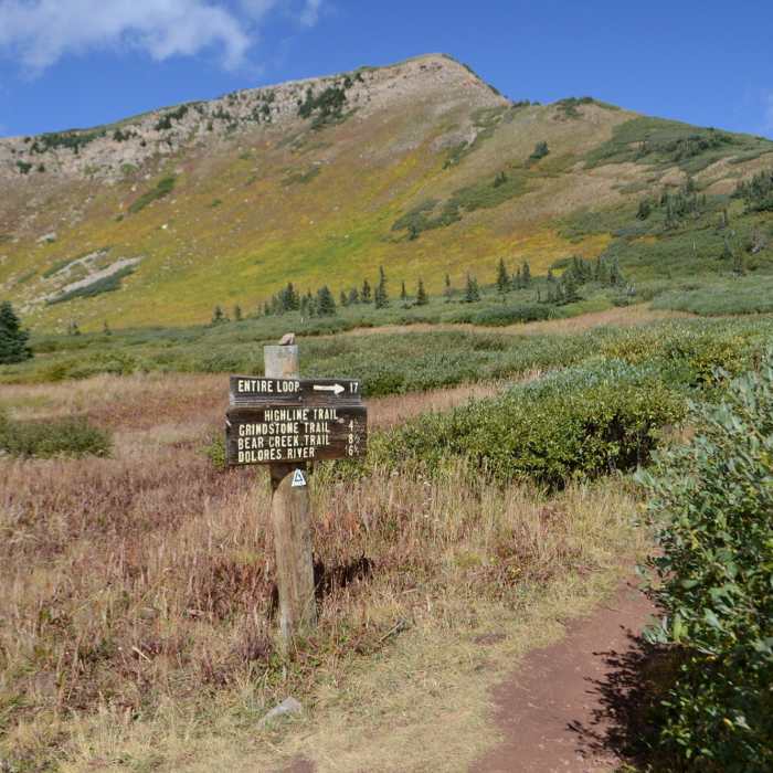 Meeting the loop near Taylor Lake. Near Mancos Spur Trail