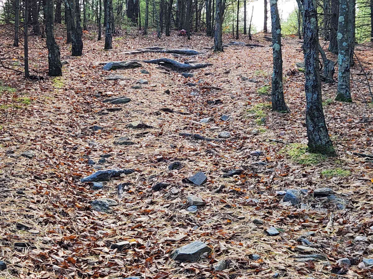 OHV 4 - Rock Run Recreation Area trail photo