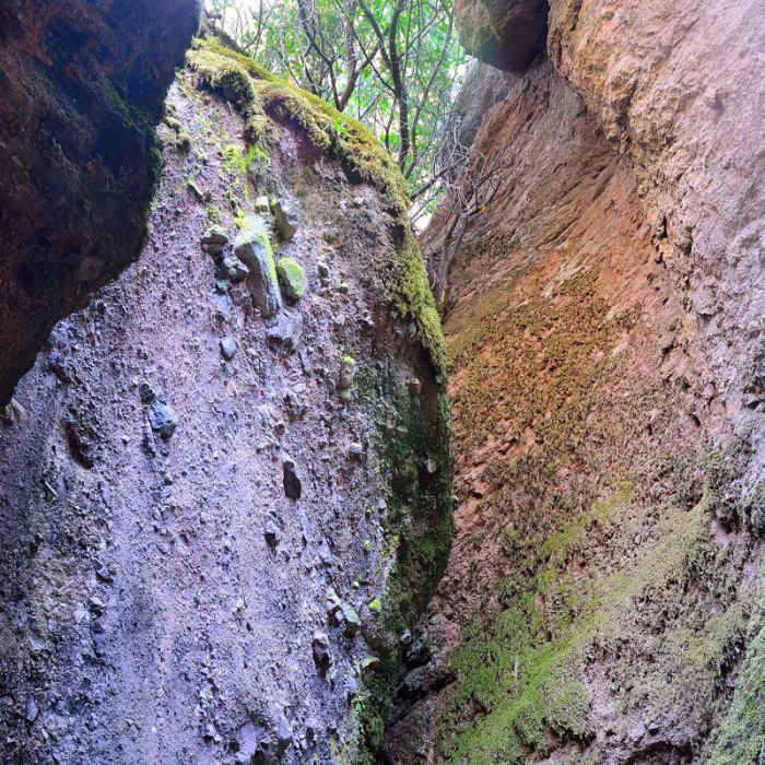 Near Moses Springs Trail