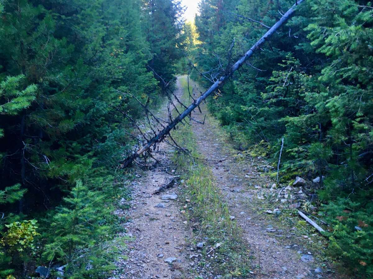 Overwhich Creek ATV Trail photo 3