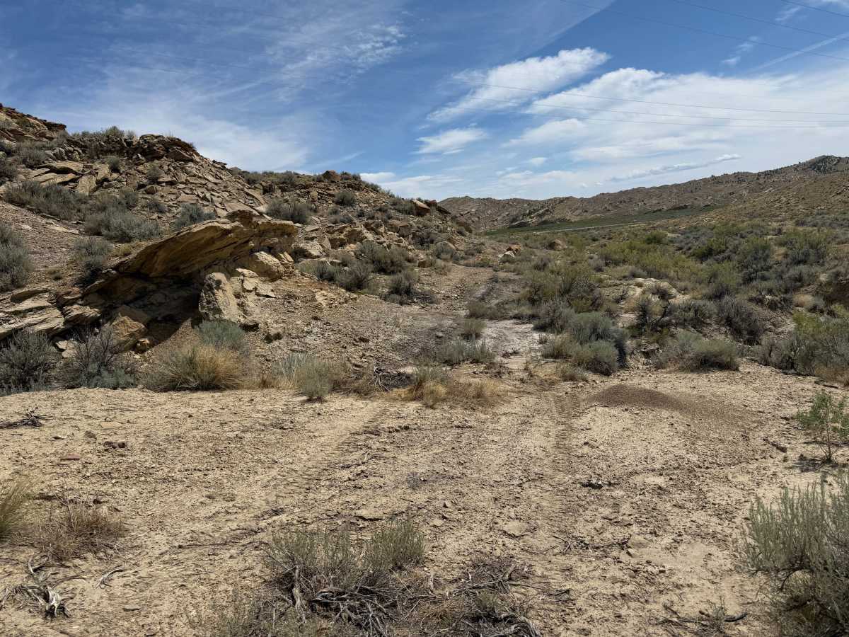 Bill's Trail photo 2