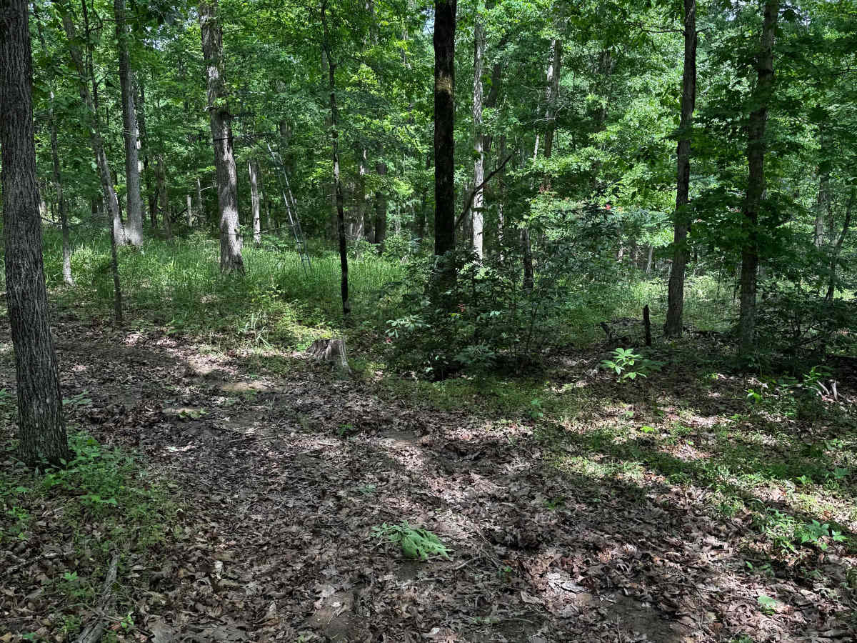 Inner Trail 1 photo 2