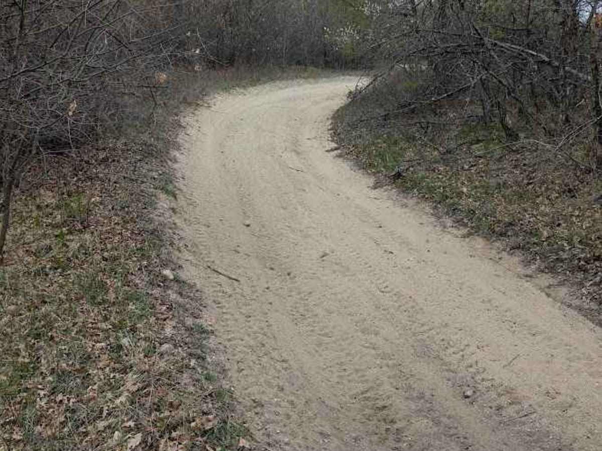 Loose Lane photo 3