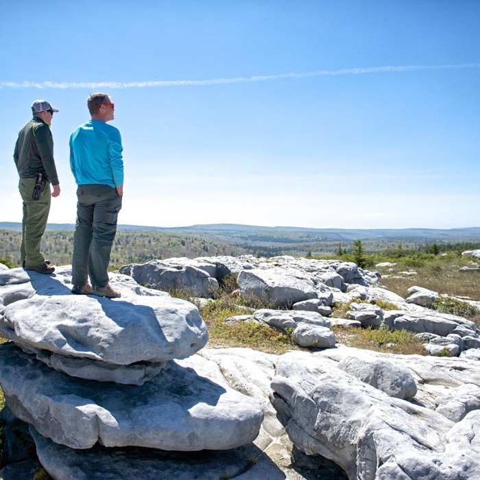Rocky Ridge trail Near Blackbird/Ridge Loop