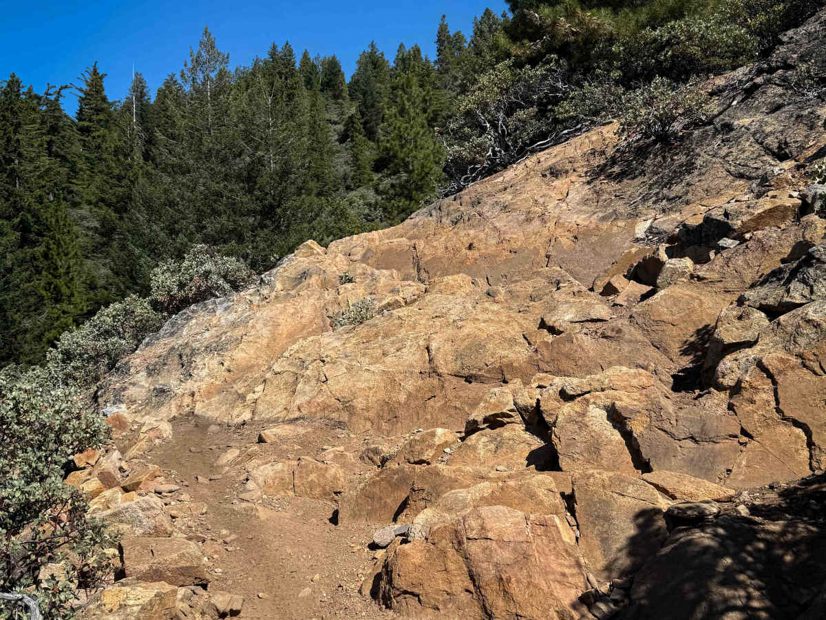 Trail 10 (11E44)  trail photo