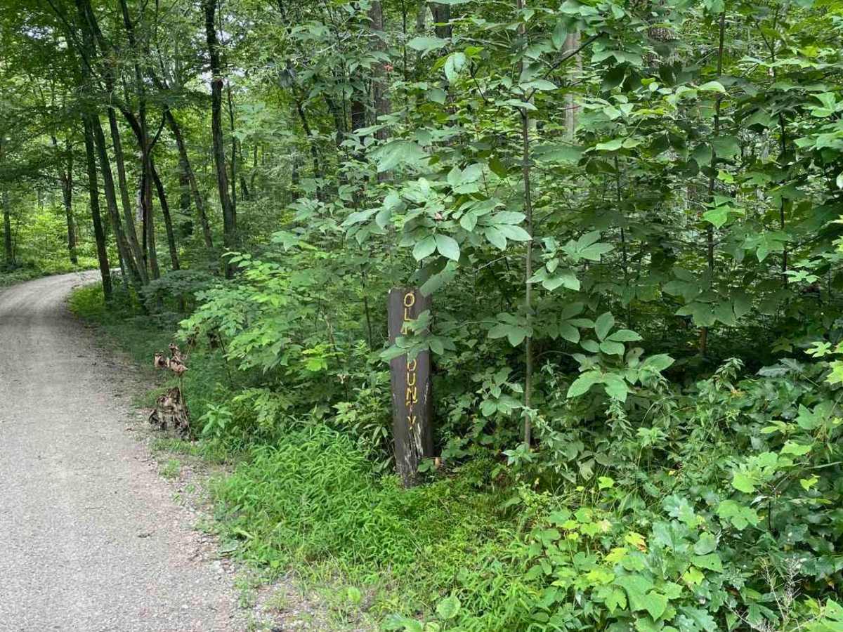 Old Country Road photo 5