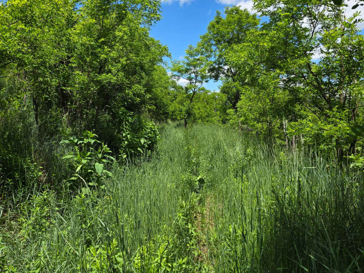 Single Track AD photo 6