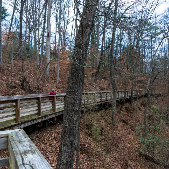 Boardwalk Near Decatur Water Works Ruins