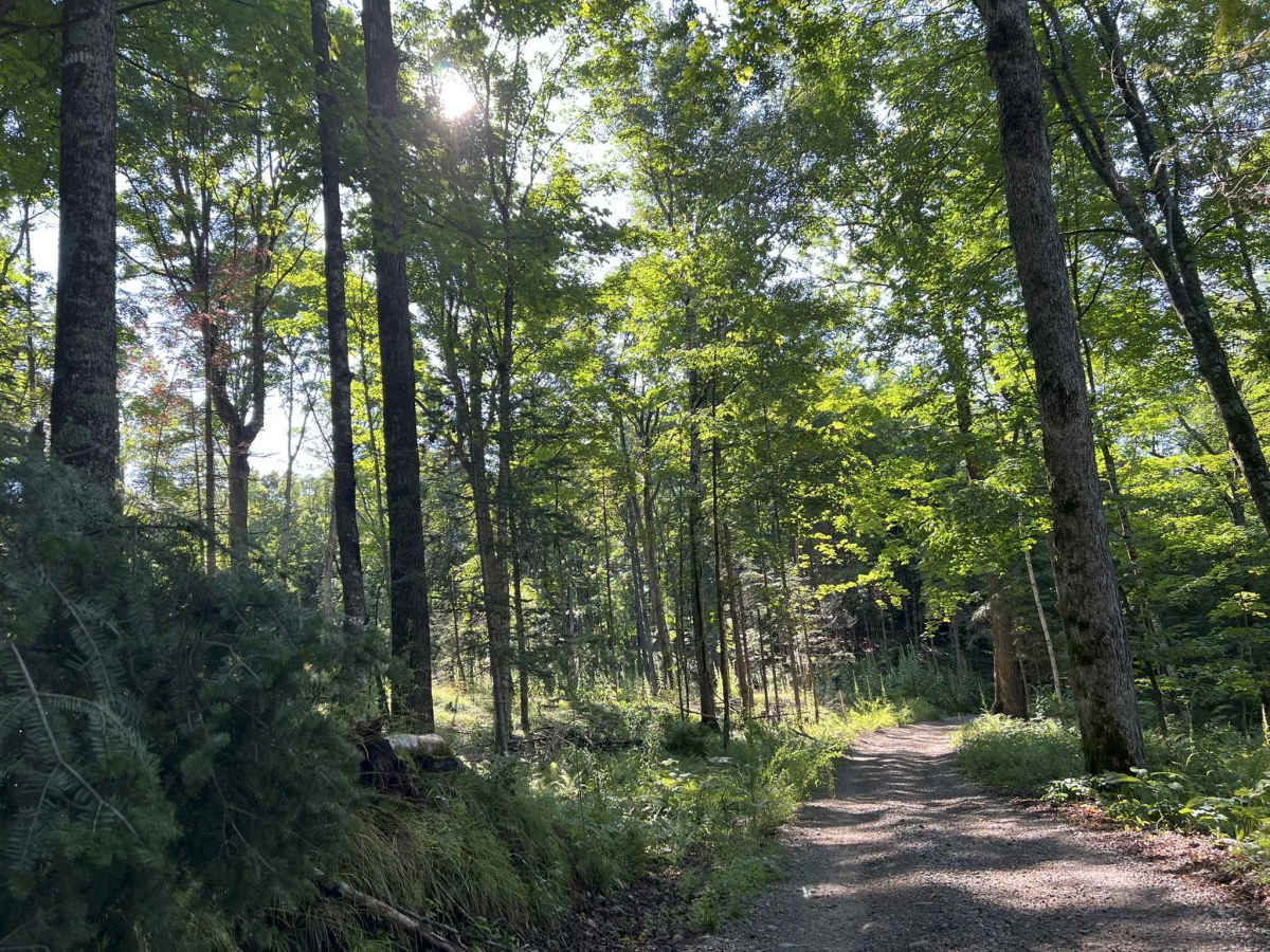 Rock Creek Road - Florence County F14 photo 2