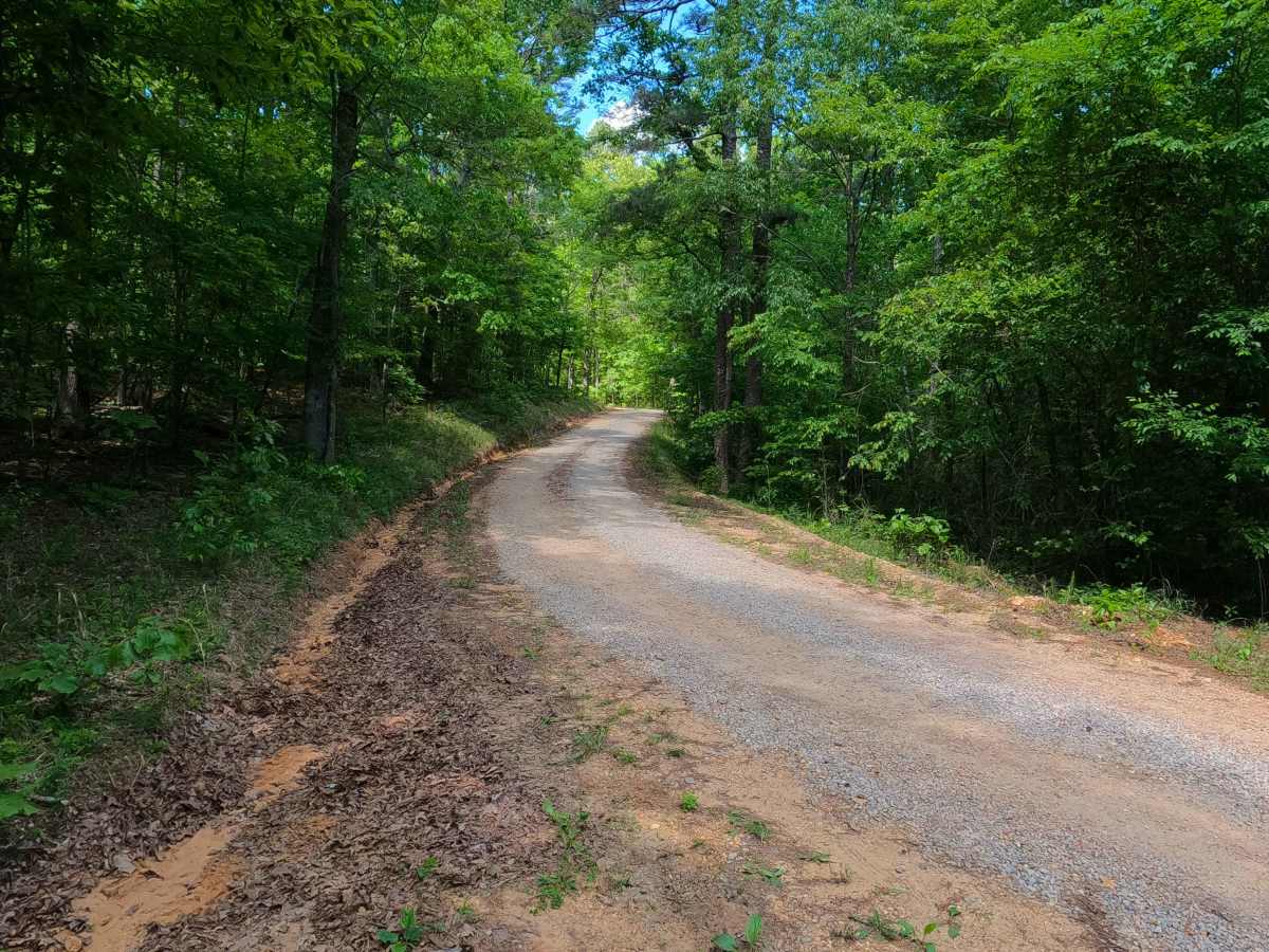 Malady Hollow - FS 3776 photo 6