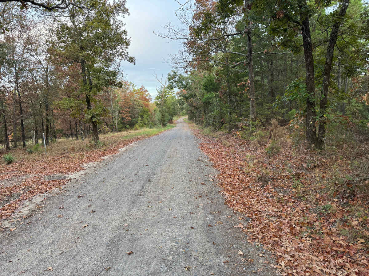 Mount Salem Road photo 2