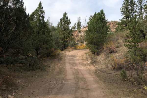 Roby Canyon FS 264