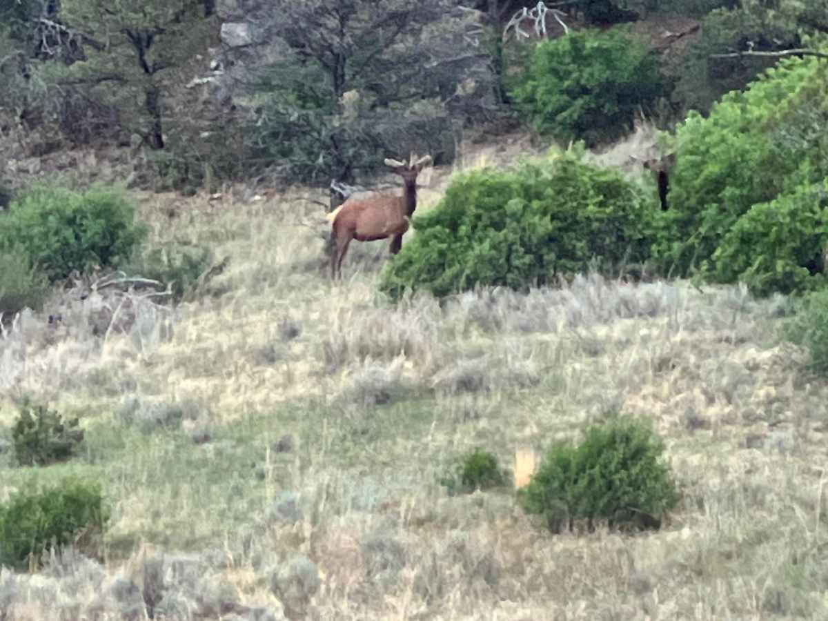 Cimarron Run photo 6