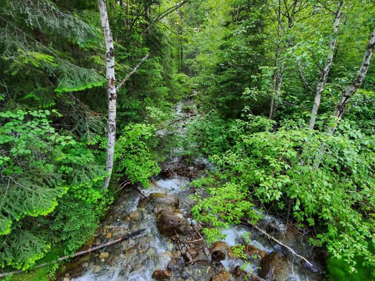 Trail Creek trail photo