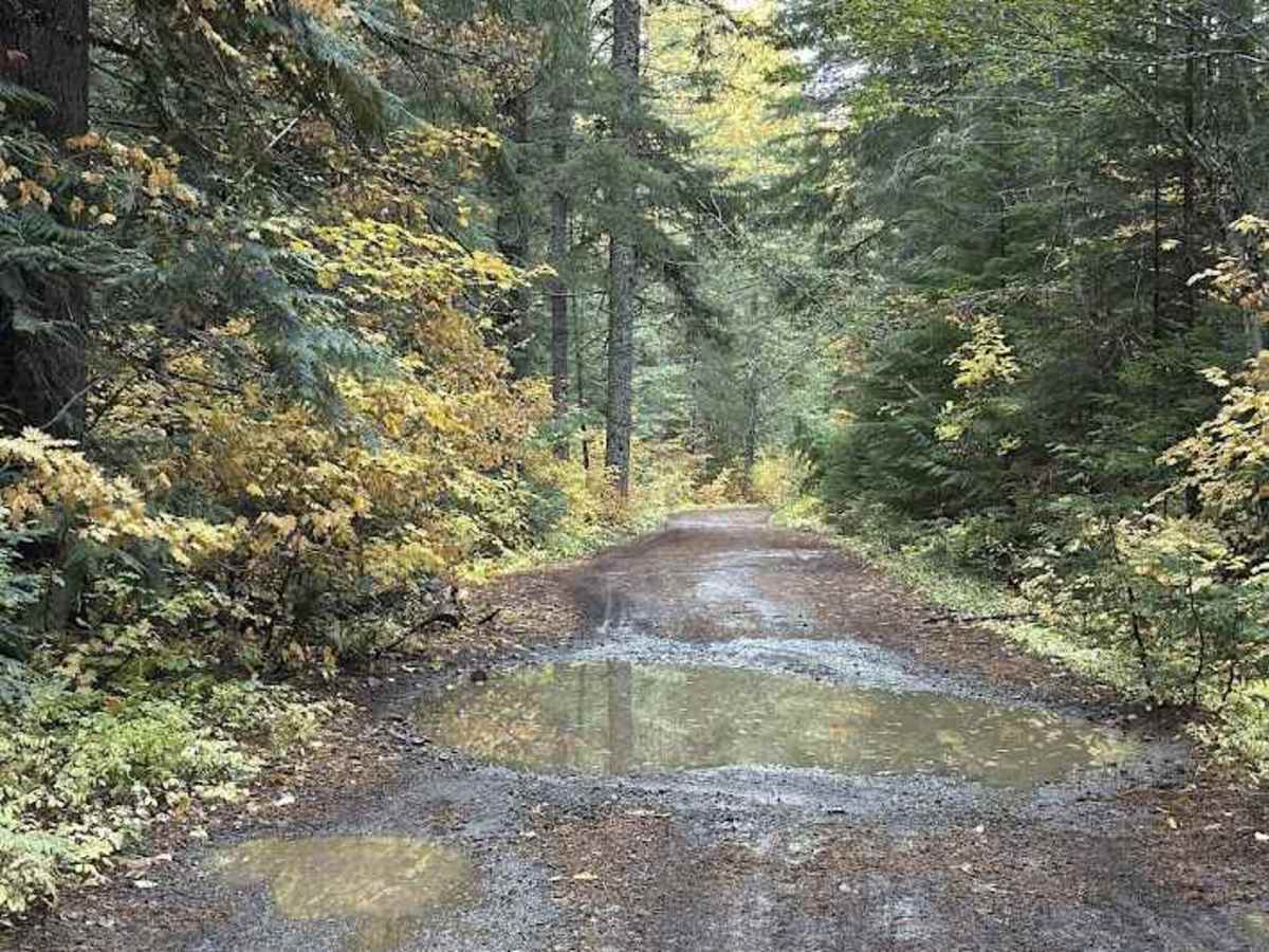 Tucker Creek Road photo 2