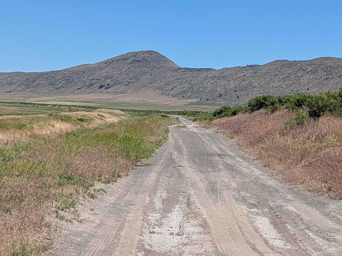 Lower Klamath Road photo 3