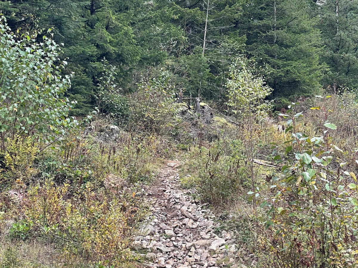 Viewpoint- The Long Way photo 4