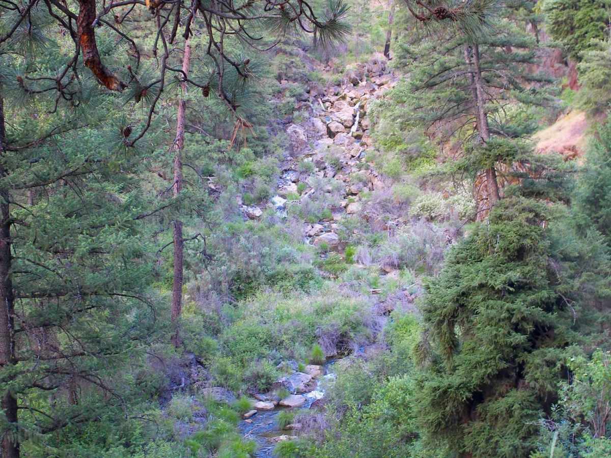 South Fork Road photo 3