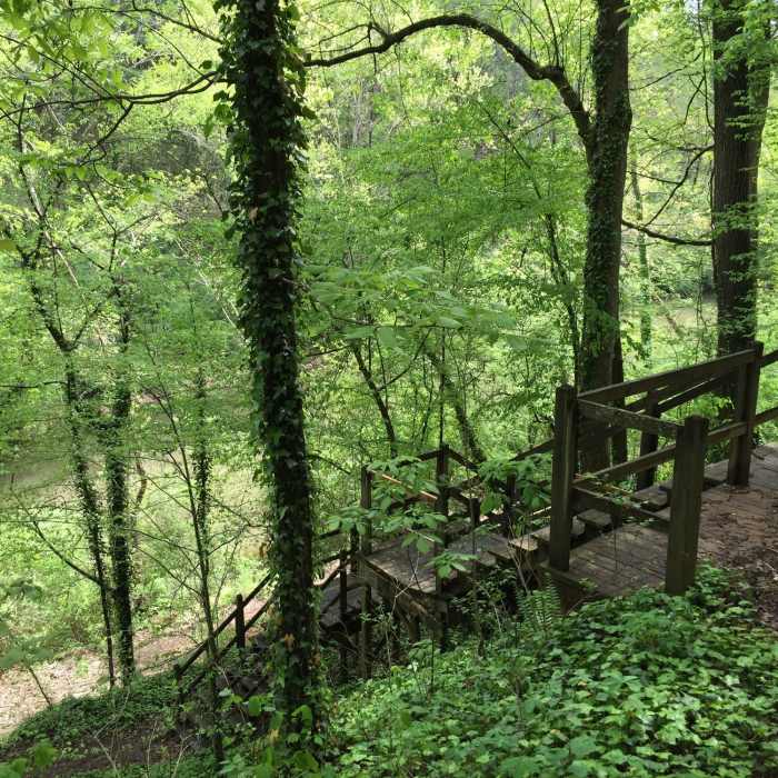 Near Allenbrook Trail