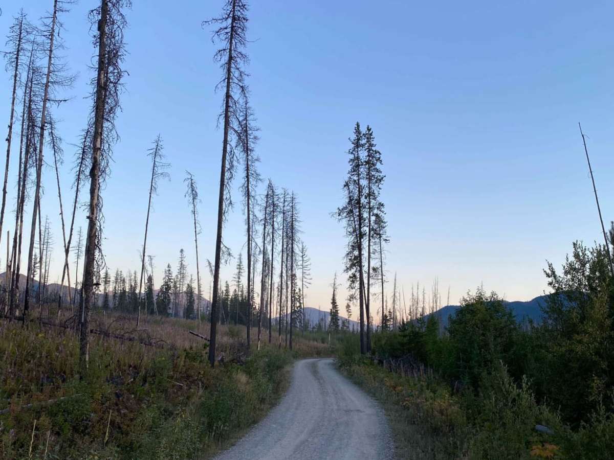 Inside North Fork Rd photo 6