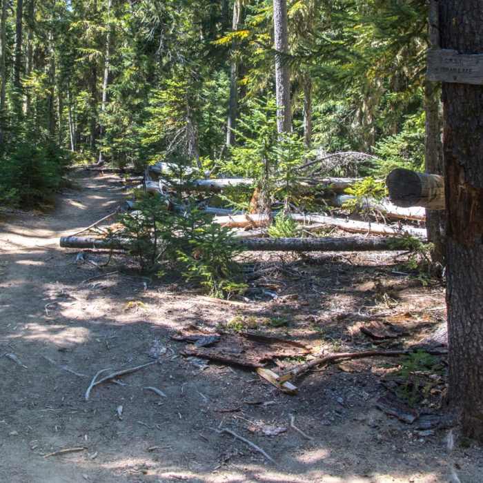 Near Yoran Lake Trail