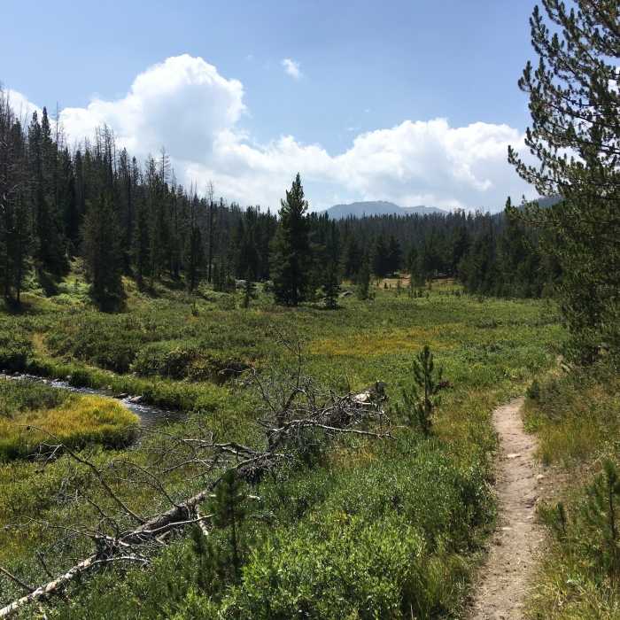 Near Mirror Lake Out and Back